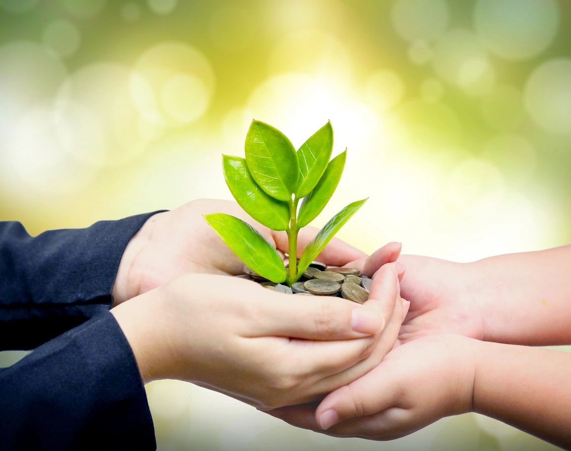 picture of two sets of hands holding a budding plant with some coins. image has a green overlay